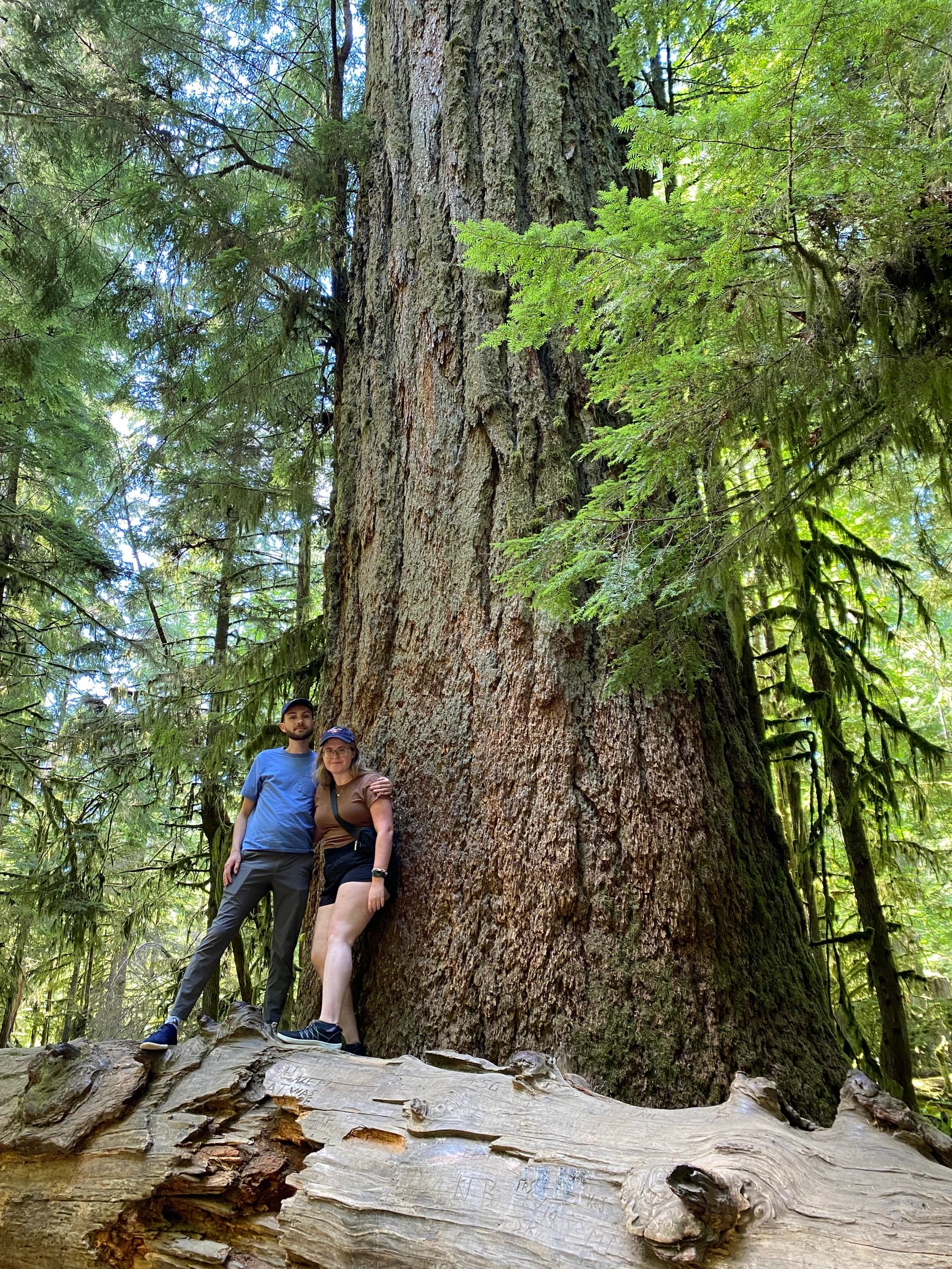 Rachel and Reid dwarfed by an old-growth Douglas fir in Cathedral Grove